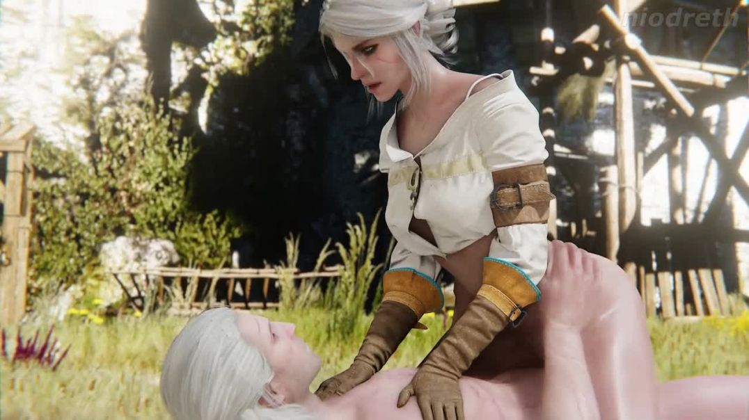 Ciri and Geralt Anal Training - minusviertel