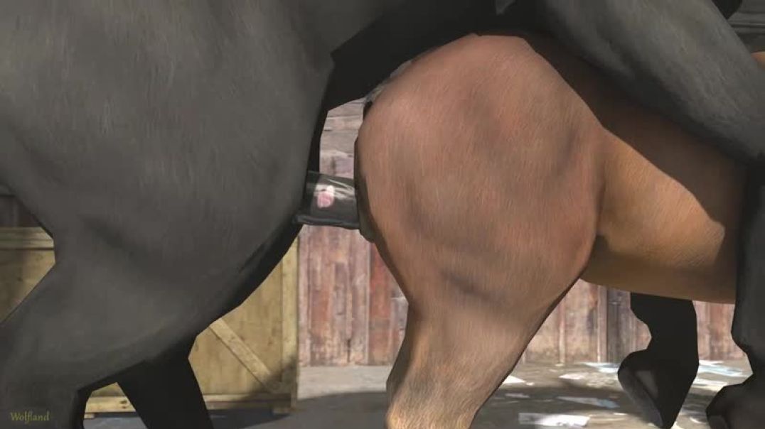 ⁣animation owner stable horse sex mare