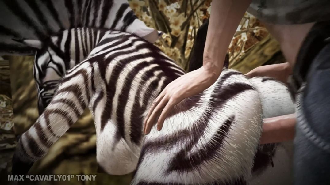 ⁣animation cavafly01 human sex zebra furry anthro field